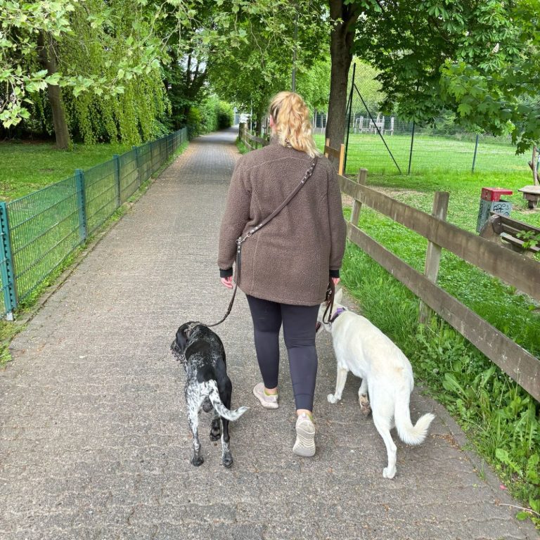 Gefährten Frau geht mit zwei Hunden auf einem Weg, umgeben von Bäumen und Gras.