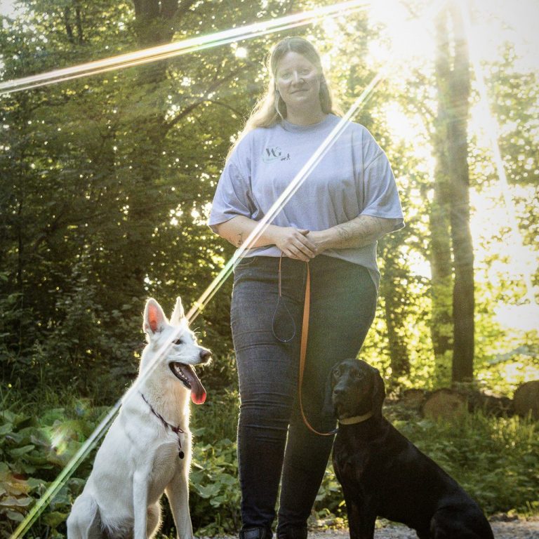 Maulkörbe Zwei Hunde in Transportboxen, einer mit Maulkorb, der andere entspannt daneben liegend.