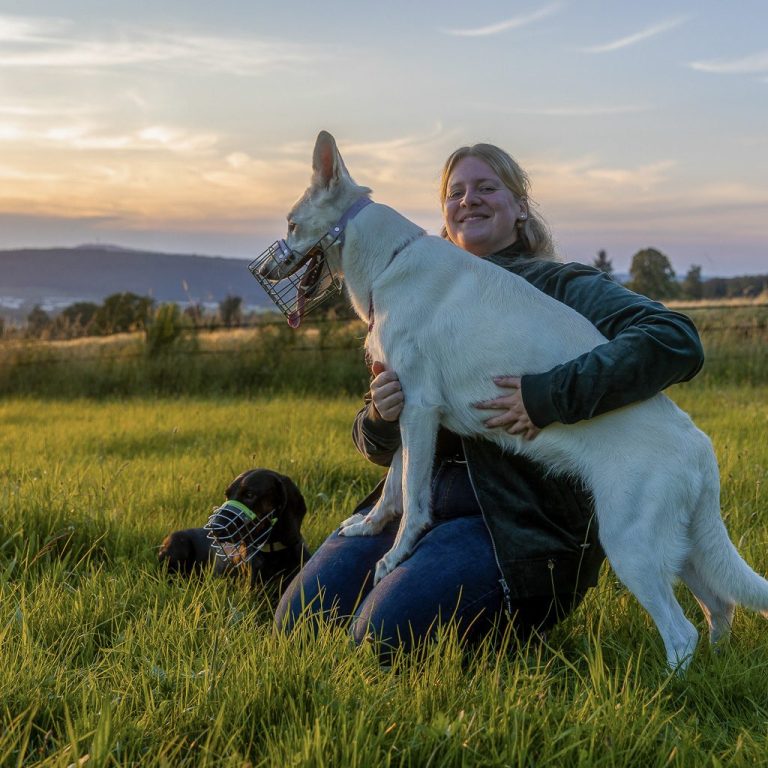 Gefährten Frau geht mit zwei Hunden auf einem Weg, umgeben von Bäumen und Gras.